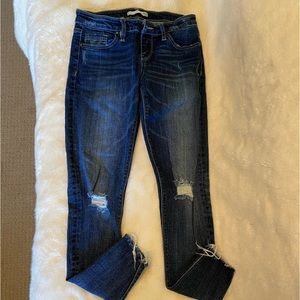 Womens daytrip size 28 Lynx ankle skinny jeans.